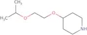 4-[2-(Propan-2-yloxy)ethoxy]piperidine