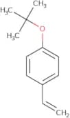 4-tert-Butoxystyrene