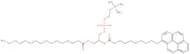 1-Palmitoyl-2-(pyrene-1-yl)decanoyl-sn-glycero-3-phosphocholine