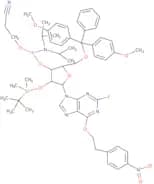 2-Fluoro-I ce-phosphoramidite (convertible G ce-phosphoramidite)