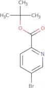 tert-Butyl 5-bromopyridine-2-carboxylate