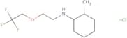 2-Methyl-N-[2-(2,2,2-trifluoroethoxy)ethyl]cyclohexan-1-amine hydrochloride