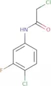 2-Chloro-N-(4-chloro-3-fluorophenyl)acetamide