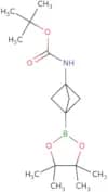 tert-Butyl N-[3-(4,4,5,5-tetramethyl-1,3,2-dioxaborolan-2-yl)-1-bicyclo[1.1.1]pentanyl]carbamate