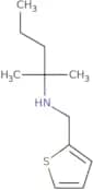 (2-Methylpentan-2-yl)(thiophen-2-ylmethyl)amine