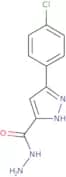 5-(4-Chlorophenyl)-1H-pyrazole-3-carbohydrazide