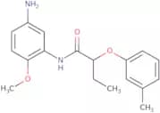 N-(5-Amino-2-methoxyphenyl)-2-(3-methylphenoxy)-butanamide