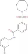 3-(1-azepanylsulfonyl)-N-(3-bromophenyl)benzamide