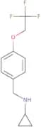 Cyclopropyl-[4-(2,2,2-trifluoro-ethoxy)-benzyl]-amine