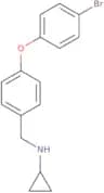 N-{[4-(4-Bromophenoxy)phenyl]methyl}cyclopropanamine