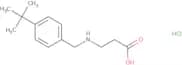3-{[(4-tert-Butylphenyl)methyl]amino}propanoic acid hydrochloride