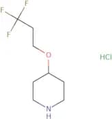 4-(3,3,3-Trifluoropropoxy)piperidine hydrochloride