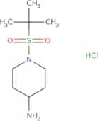 1-(2-Methylpropane-2-sulfonyl)piperidin-4-amine hydrochloride