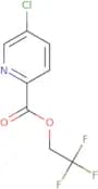 2,2,2-Trifluoroethyl 5-chloropyridine-2-carboxylate