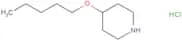 4-(Pentyloxy)piperidine hydrochloride