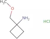 1-(Methoxymethyl)cyclobutan-1-amine HCl