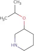 3-(Propan-2-yloxy)piperidine