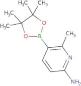 6-Amino-2-methylpyridin-3-ylboronic acid pinacol ester