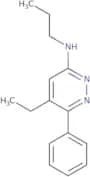 5-Ethyl-6-phenyl-N-propylpyridazin-3-amine