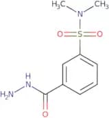 3-(Hydrazinecarbonyl)-N,N-dimethylbenzene-1-sulfonamide