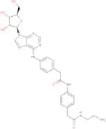 Adenosine amine congener