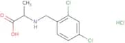 2-{[(2,4-Dichlorophenyl)methyl]amino}propanoic acid hydrochloride