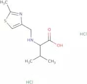3-Methyl-2-{[(2-methyl-1,3-thiazol-4-yl)methyl]amino}butanoic acid dihydrochloride
