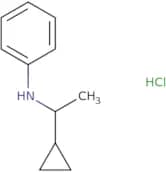 N-(1-Cyclopropylethyl)aniline hydrochloride