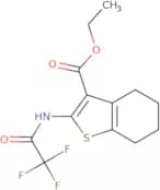 Ethyl 2-(trifluoroacetamido)-4,5,6,7-tetrahydro-1-benzothiophene-3-carboxylate