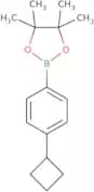 2-(4-Cyclobutylphenyl)-4,4,5,5-tetramethyl-1,3,2-dioxaborolane