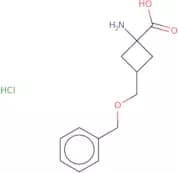 1-Amino-3-[(benzyloxy)methyl]cyclobutane-1-carboxylic acid hydrochloride