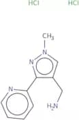 [1-Methyl-3-(pyridin-2-yl)-1H-pyrazol-4-yl]methanamine dihydrochloride