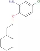 5-Chloro-2-(2-cyclohexylethoxy)aniline