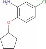 5-Chloro-2-(cyclopentyloxy)aniline