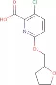 3-Chloro-6-(oxolan-2-ylmethoxy)pyridine-2-carboxylic acid