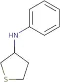 N-Phenylthiolan-3-amine
