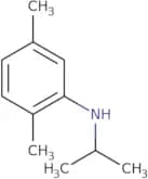 2,5-Dimethyl-N-(propan-2-yl)aniline