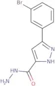 5-(3-Bromophenyl)-1H-pyrazole-3-carbohydrazide