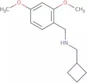 (Cyclobutylmethyl)[(2,4-dimethoxyphenyl)methyl]amine