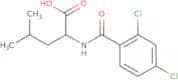 (2S)-2-[(2,4-Dichlorophenyl)formamido]-4-methylpentanoic acid
