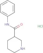 N-Phenylpiperidine-3-carboxamide hydrochloride