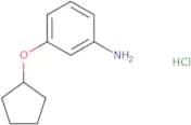 3-(Cyclopentyloxy)aniline hydrochloride