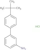 3-(4-tert-Butylphenyl)aniline hydrochloride