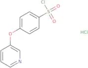 4-(Pyridin-3-yloxy)benzene-1-sulfonyl chloride hydrochloride