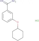 3-(Cyclohexyloxy)benzene-1-carboximidamide hydrochloride