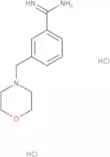 3-(Morpholin-4-ylmethyl)benzene-1-carboximidamide dihydrochloride