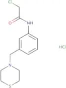 2-Chloro-N-[3-(thiomorpholin-4-ylmethyl)phenyl]acetamide hydrochloride