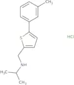 {[5-(3-Methylphenyl)thiophen-2-yl]methyl}(propan-2-yl)amine hydrochloride