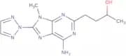4-[6-Amino-9-methyl-8-(triazol-2-yl)purin-2-yl]butan-2-ol