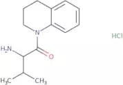 2-Amino-1-[3,4-dihydro-1(2H)-quinolinyl]-3-methyl-1-butanone hydrochloride